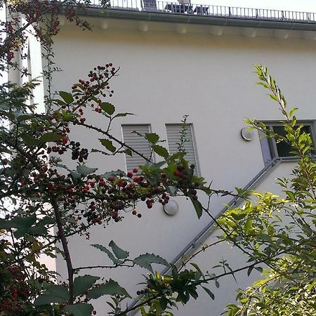 바덴바덴 Petite Bellevue II 아파트 외부 사진